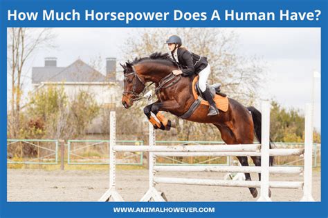 human horsepower.